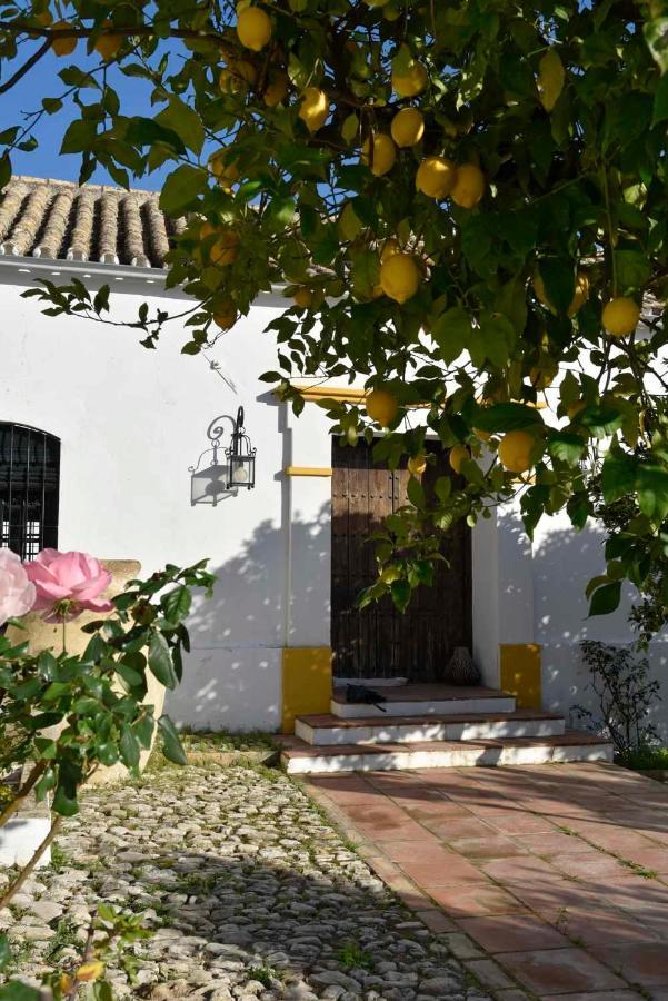 Finca Las Rosas De Santa Ana Villamartín Εξωτερικό φωτογραφία